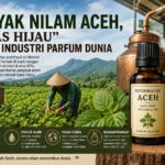 Minyak Nilam